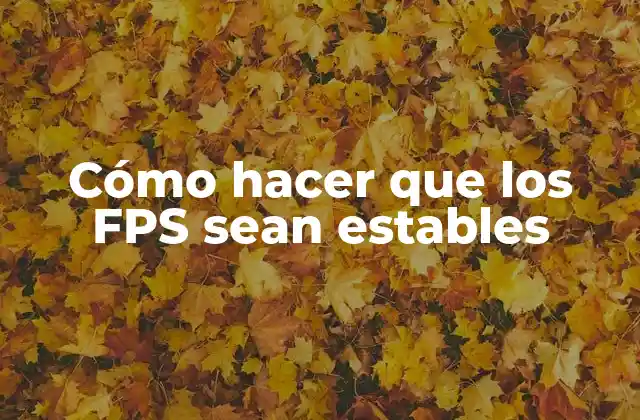 Cómo Hacer que los Fps Sean Estables
