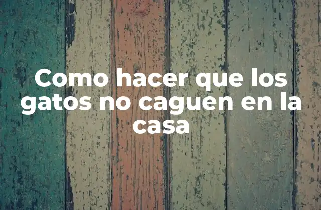 Como Hacer que los Gatos No Caguen en la Casa