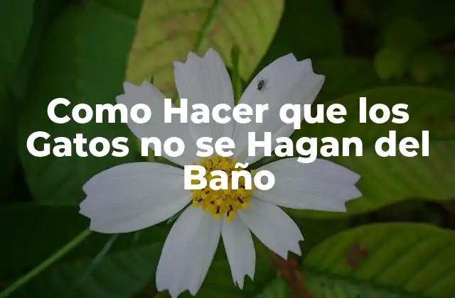 Como Hacer que los Gatos No Se Hagan Del Baño