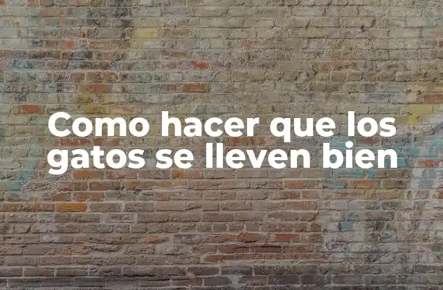 Como Hacer que los Gatos Se Lleven Bien