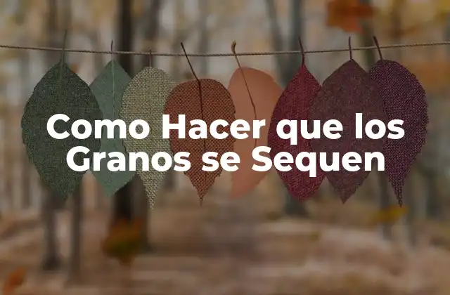 Como Hacer que los Granos Se Sequen
