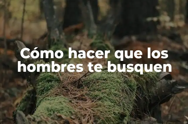 Cómo Hacer que los Hombres Te Busquen
