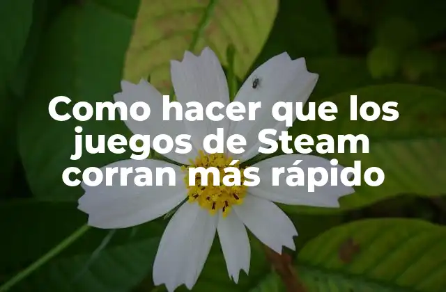 Como Hacer que los Juegos de Steam Corran Más Rápido