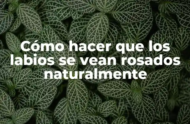 Cómo hacer que los labios se vean rosados naturalmente