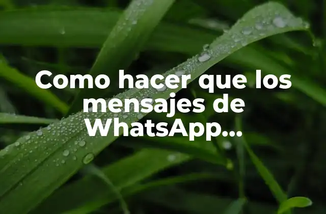 Como Hacer que los Mensajes de Whatsapp Desaparecieran