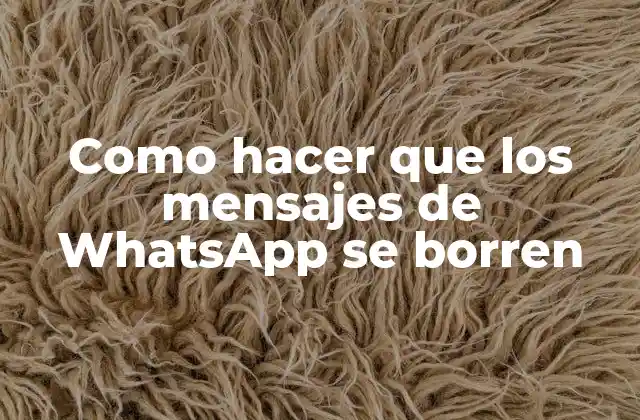 Como Hacer que los Mensajes de Whatsapp Se Borren