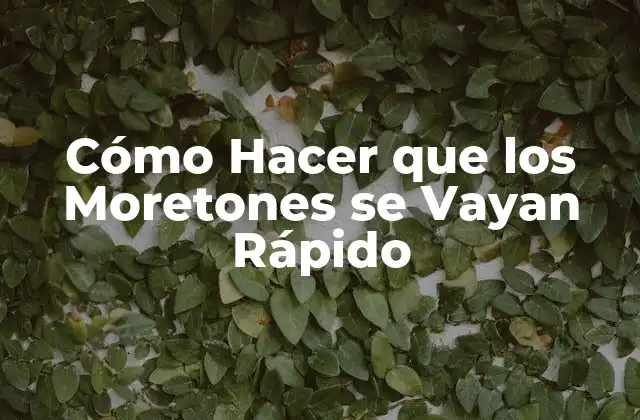Cómo Hacer que los Moretones Se Vayan Rápido 2 ¿Qué son los Moretones?