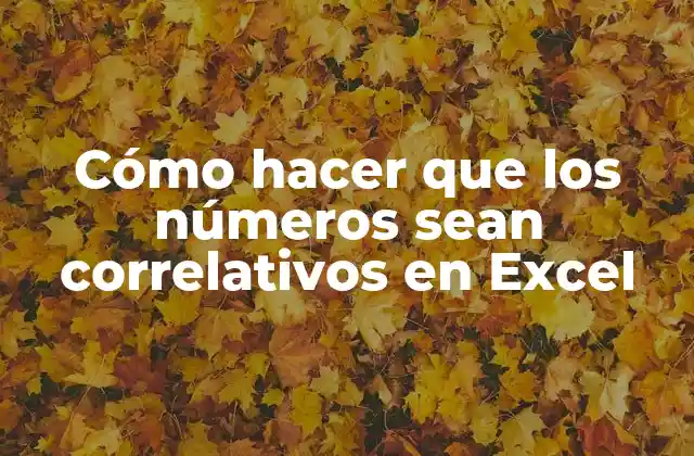 Cómo Hacer que los Números Sean Correlativos en Excel