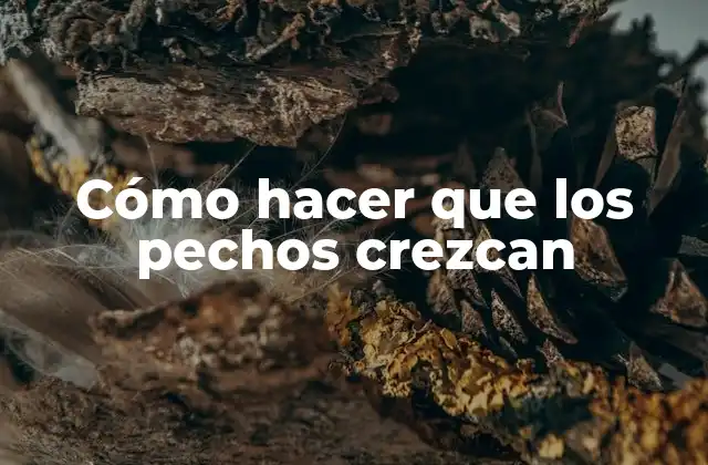 Cómo Hacer que los Pechos Crezcan