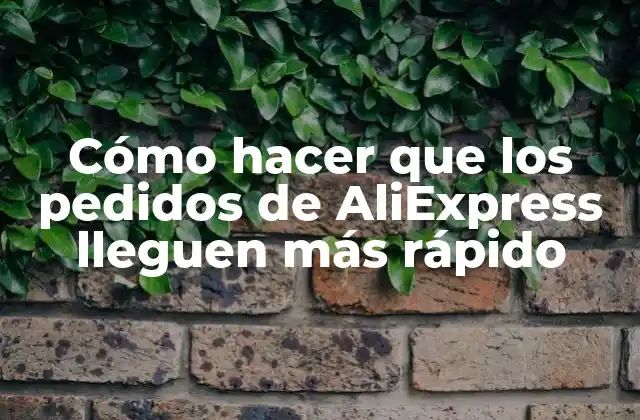 Cómo Hacer que los Pedidos de Aliexpress Lleguen Más Rápido