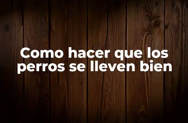 Como Hacer que los Perros Se Lleven Bien 2 Como hacer que los perros se lleven bien