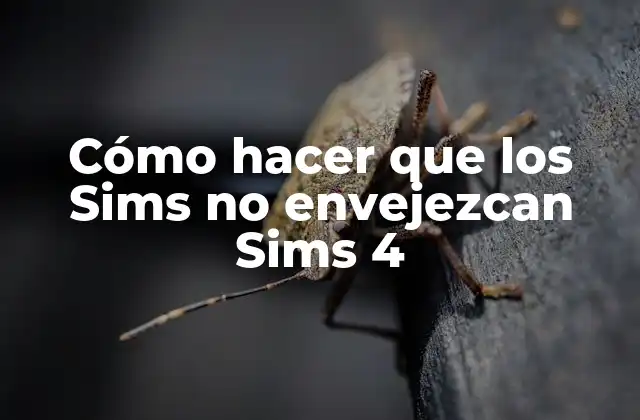 Cómo Hacer que los Sims No Envejezcan Sims 4