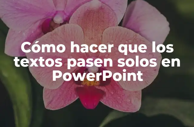 Cómo Hacer que los Textos Pasen Solos en Powerpoint 2 Cómo hacer que los textos pasen solos en PowerPoint