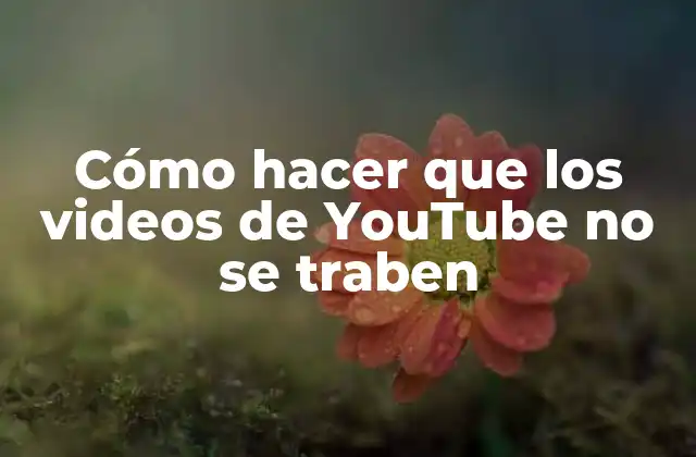 Cómo Hacer que los Videos de Youtube No Se Traben
