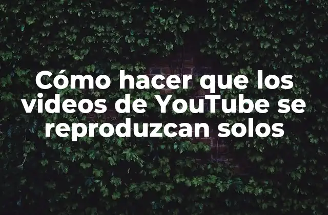 Cómo Hacer que los Videos de Youtube Se Reproduzcan Solos