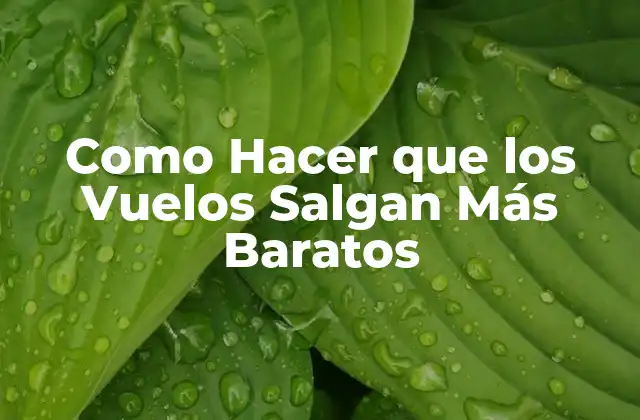 Como Hacer que los Vuelos Salgan Más Baratos