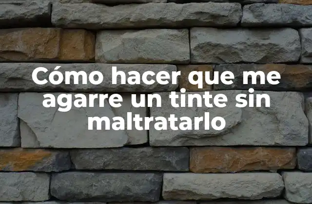 Cómo Hacer que Me Agarre un Tinte sin Maltratarlo