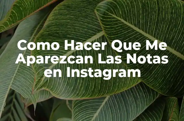 Como Hacer que Me Aparezcan las Notas en Instagram