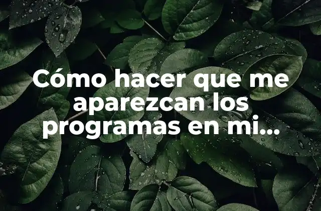 Cómo Hacer que Me Aparezcan los Programas en Mi Windows