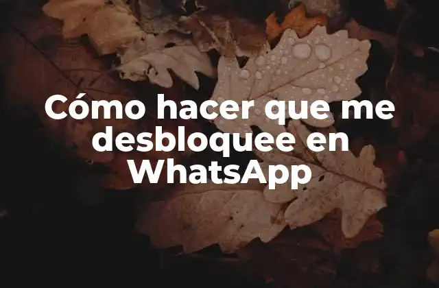 Cómo Hacer que Me Desbloquee en Whatsapp