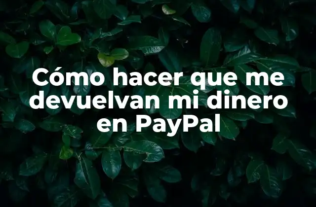 Cómo Hacer que Me Devuelvan Mi Dinero en Paypal