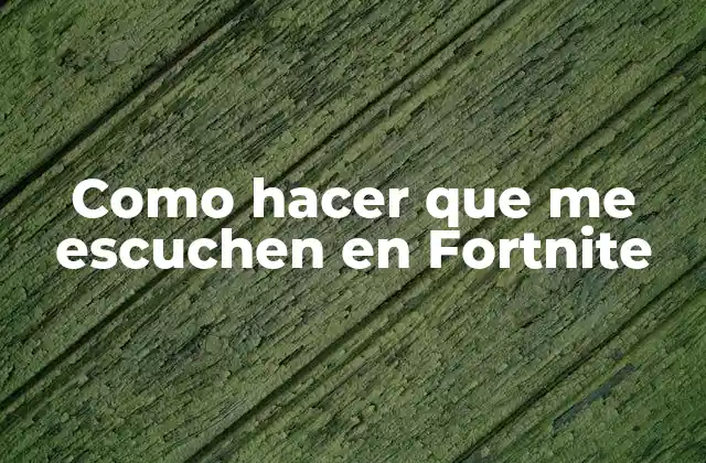 Como Hacer que Me Escuchen en Fortnite