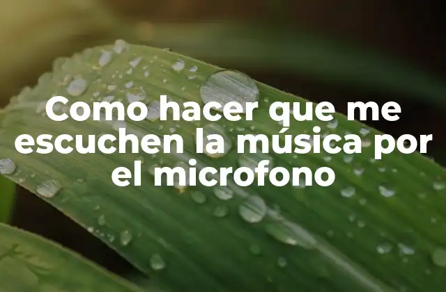 Como Hacer que Me Escuchen la Música por el Microfono