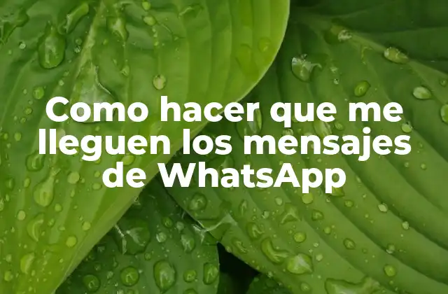 Como Hacer que Me Lleguen los Mensajes de Whatsapp