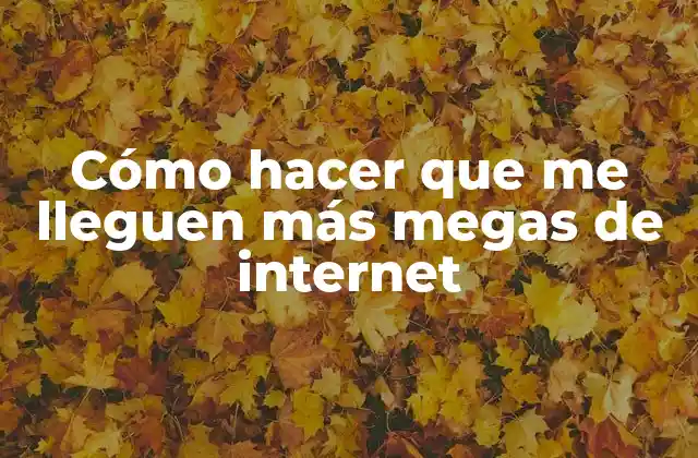 Cómo Hacer que Me Lleguen Más Megas de Internet 2 Cómo hacer que me lleguen más megas de internet