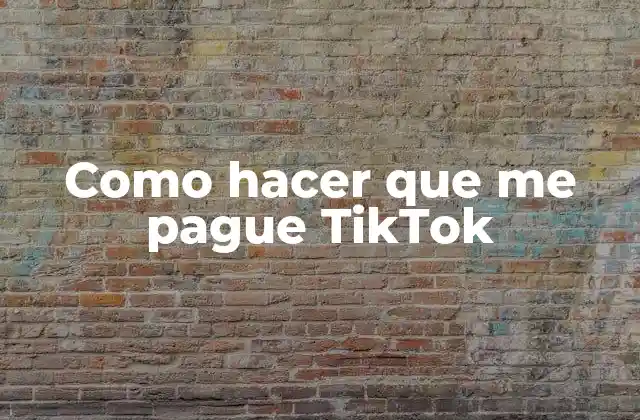 Como Hacer que Me Pague Tiktok