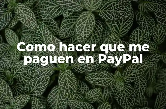 Como Hacer que Me Paguen en Paypal