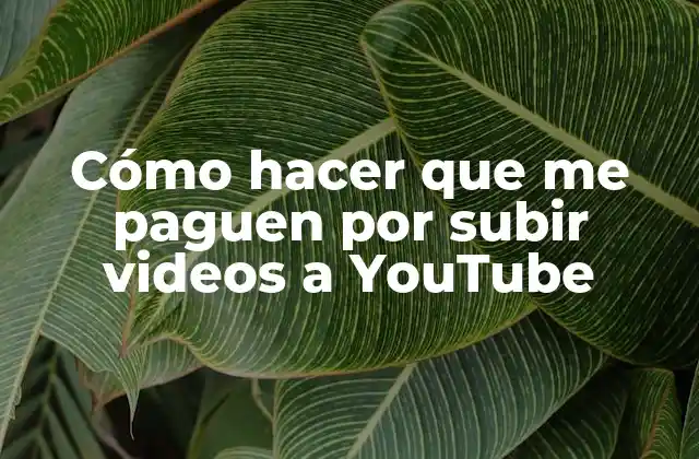 Cómo Hacer que Me Paguen por Subir Videos a Youtube