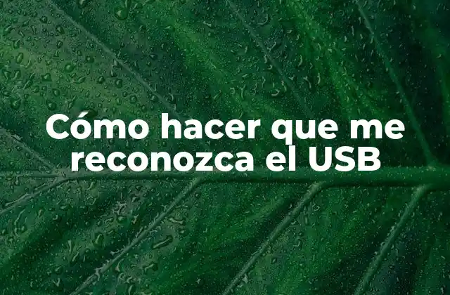 Cómo Hacer que Me Reconozca el Usb