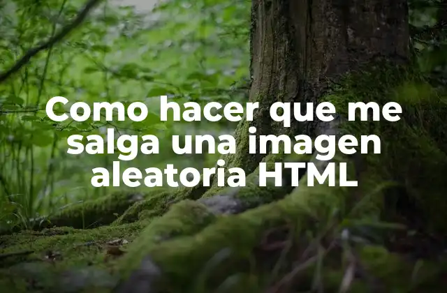 Como Hacer que Me Salga una Imagen Aleatoria Html
