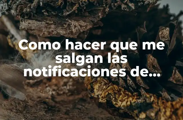 Como Hacer que Me Salgan las Notificaciones de Whatsapp