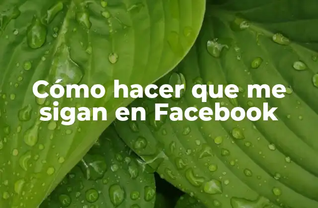 Cómo Hacer que Me Sigan en Facebook