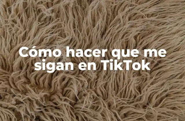 Cómo Hacer que Me Sigan en Tiktok