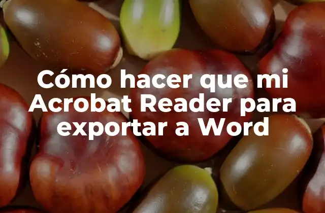 Cómo Hacer que Mi Acrobat Reader para Exportar a Word