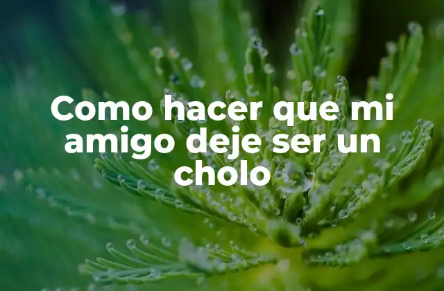 Como Hacer que Mi Amigo Deje Ser un Cholo