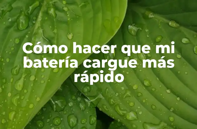 Cómo Hacer que Mi Batería Cargue Más Rápido