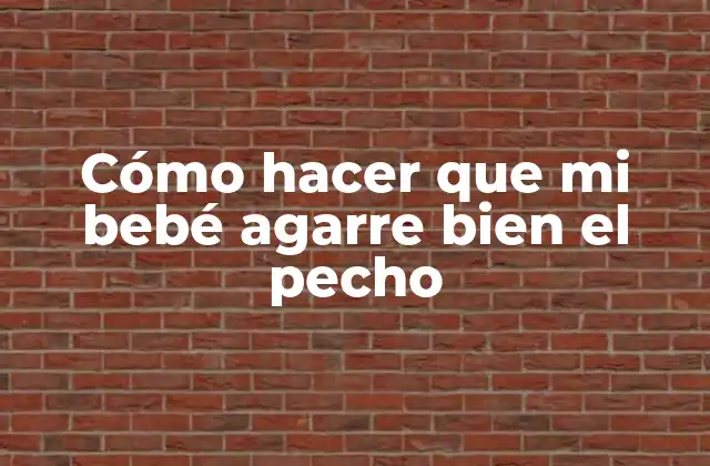 Cómo Hacer que Mi Bebé Agarre Bien el Pecho