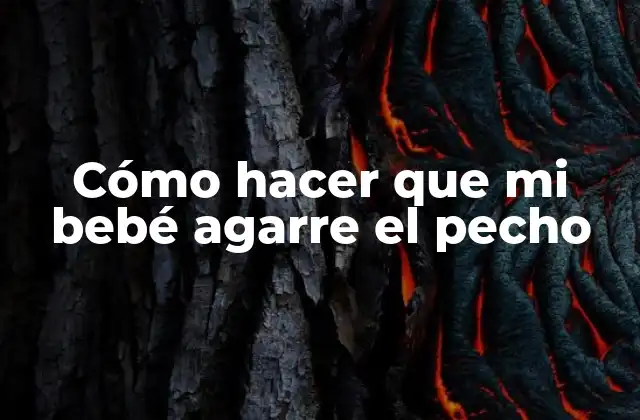 Cómo Hacer que Mi Bebé Agarre el Pecho