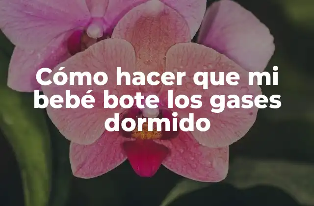 Cómo Hacer que Mi Bebé Bote los Gases Dormido