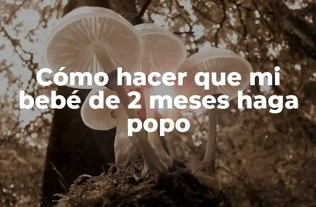Cómo Hacer que Mi Bebé de 2 Meses Haga Popo 2 Cómo hacer que mi bebé de 2 meses haga popo