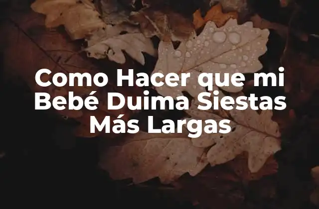 Como Hacer que Mi Bebé Duima Siestas Más Largas 2 La Importancia del Sueño para el Desarrollo del Bebé