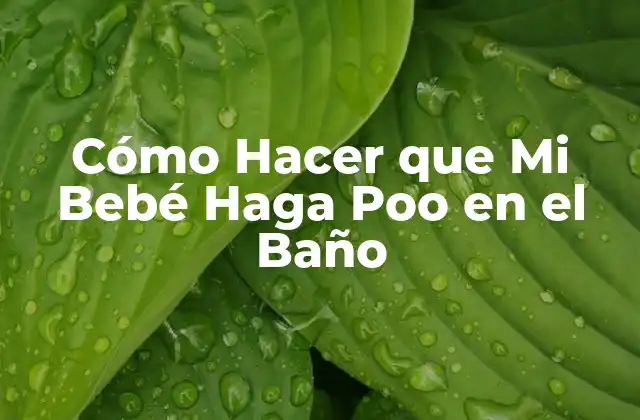 Cómo Hacer que Mi Bebé Haga Poo en el Baño