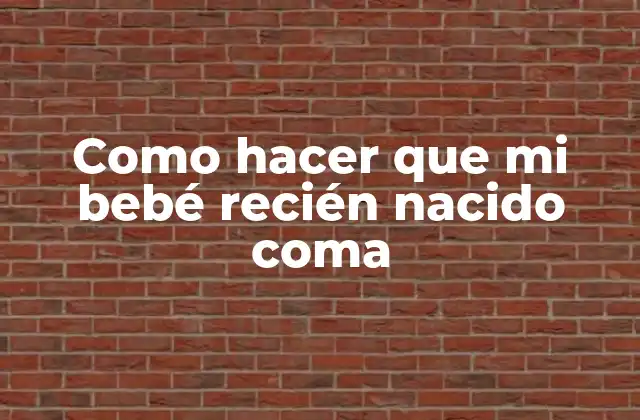 Como Hacer que Mi Bebé Recién Nacido Coma 2 Alimentación del bebé recién nacido