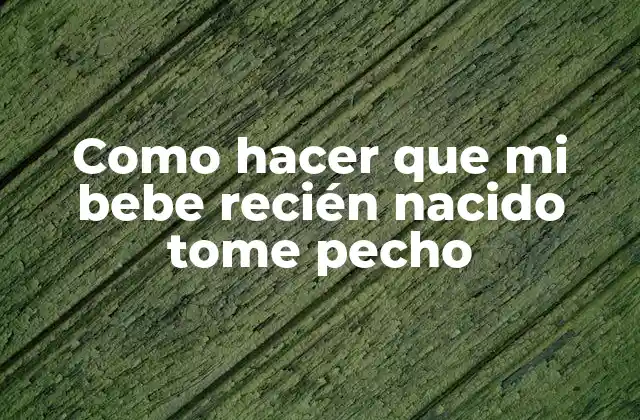 Como Hacer que Mi Bebe Recién Nacido Tome Pecho