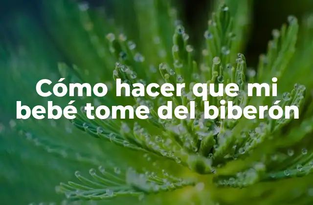 ¿Qué es un biberón y cómo funciona?