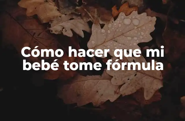 Cómo Hacer que Mi Bebé Tome Fórmula